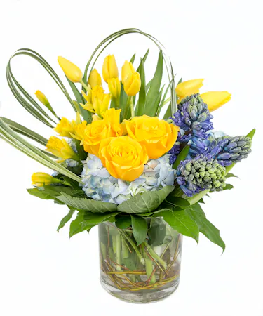 Tulip, Daffodil, Hyacinth, Hydrangea in Boston, MA - Central Square Florist