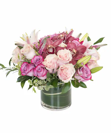 First My Mother, Forever My Friend