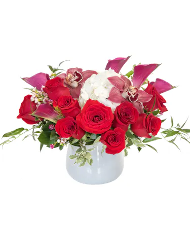 My Boston Valentine in Boston, MA