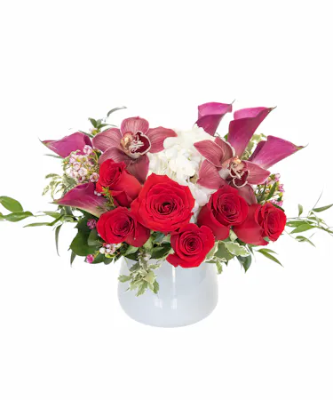 My Boston Valentine in Boston, MA