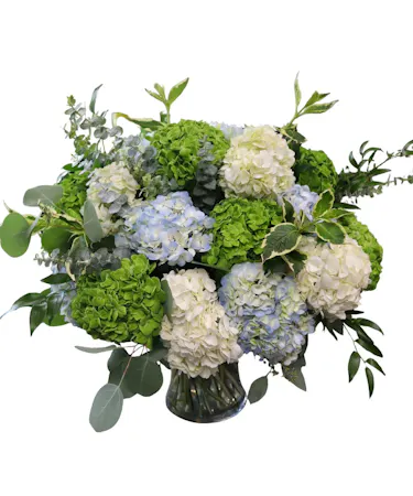 New England Summer in Boston, MA