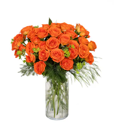Orange Spray Roses in Boston (MA)