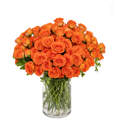 Orange Spray Roses in Boston (MA)