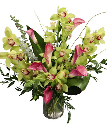Orchid & Calla Elegance in Boston, MA