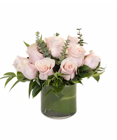 Pink Roses in Boston, MA