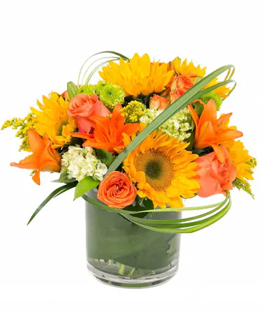 Autumn in Boston design features sunflowers, lilies and hydrangeas. Designed in a cylinder vase with a leaf-line. Bring in the joy of autumn in the city with this arrangement. 
