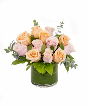 Peach & Pink Roses in Boston, MA 