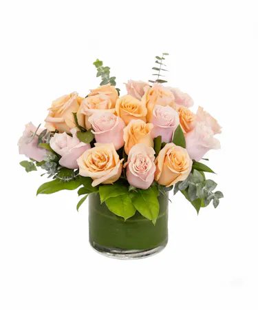 Peach & Pink Roses in Boston, MA 