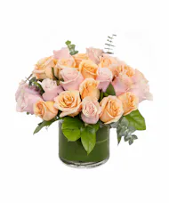 Peach & Pink Rose Cylinder