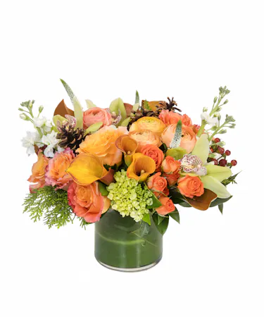 Citrus Holiday in Boston, MA