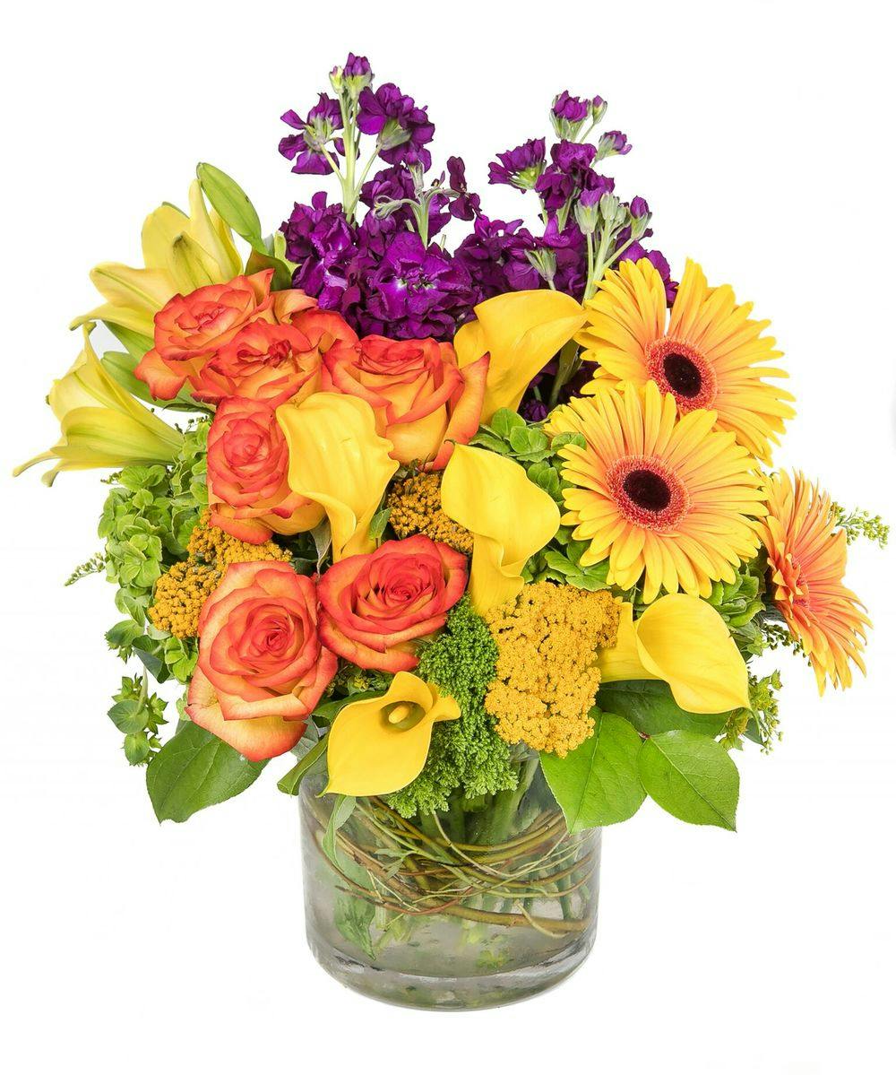 Modern Autumn Boston (MA) Sameday Hand Delivery Central Square Florist