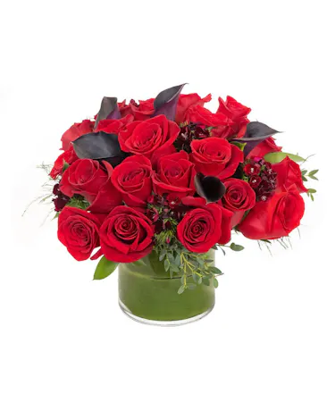 Red Passion in Boston, MA