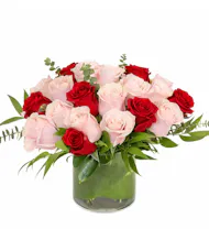 Red & Pink Roses
