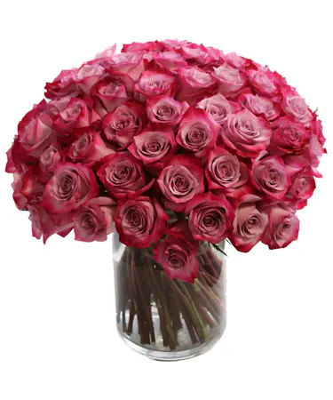 Regal Roses in Boston, MA