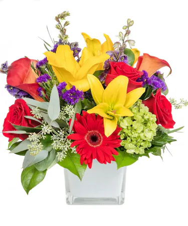 Brightly Blooming Floral Arrangement Boston, MA