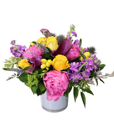 Spring in Bloom in Boston, MA 