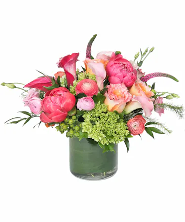 Spring Tangerine Dreams in Boston, MA