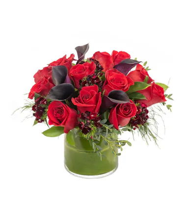 Red Passion in Boston, MA