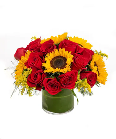 Sunflowers & Red Roses in Boston, MA