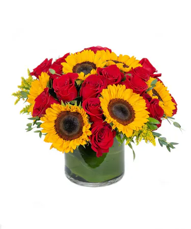 Sunflowers & Red Roses in Boston, MA