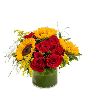 Sunflowers & Red Roses in Boston, MA