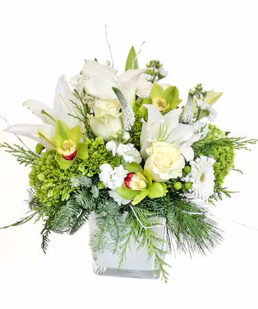 Winter in Boston Floral Arrangement in Boston, MA