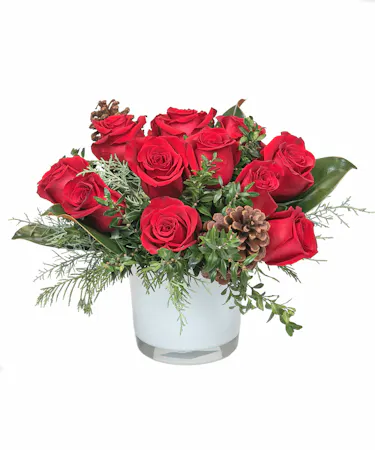 Winter Romance in Boston, MA