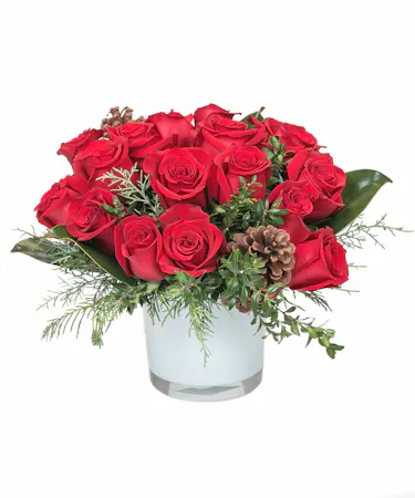 Winter Romance in Boston, MA