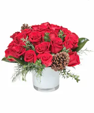 Winter Romance