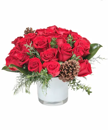 Winter Romance in Boston, MA