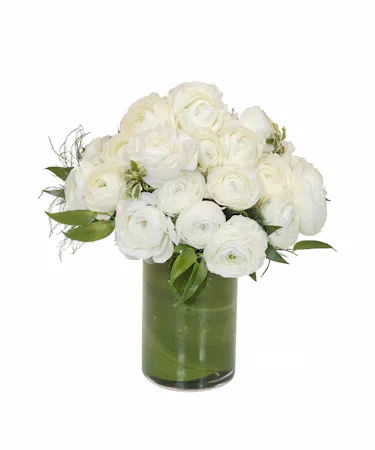 Ranunculus in Boston, MA