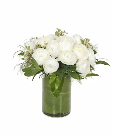 Ranunculus in Boston, MA