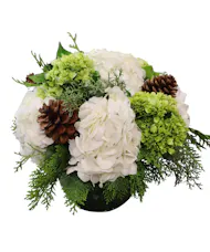 Winter Hydrangeas