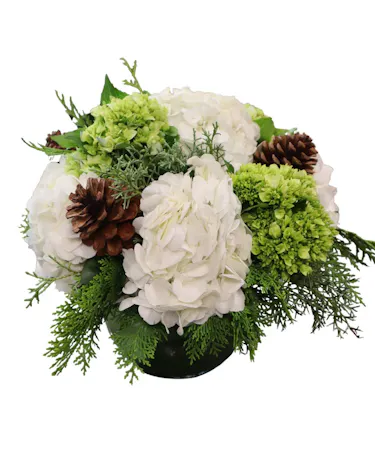 Winter Hydrangeas