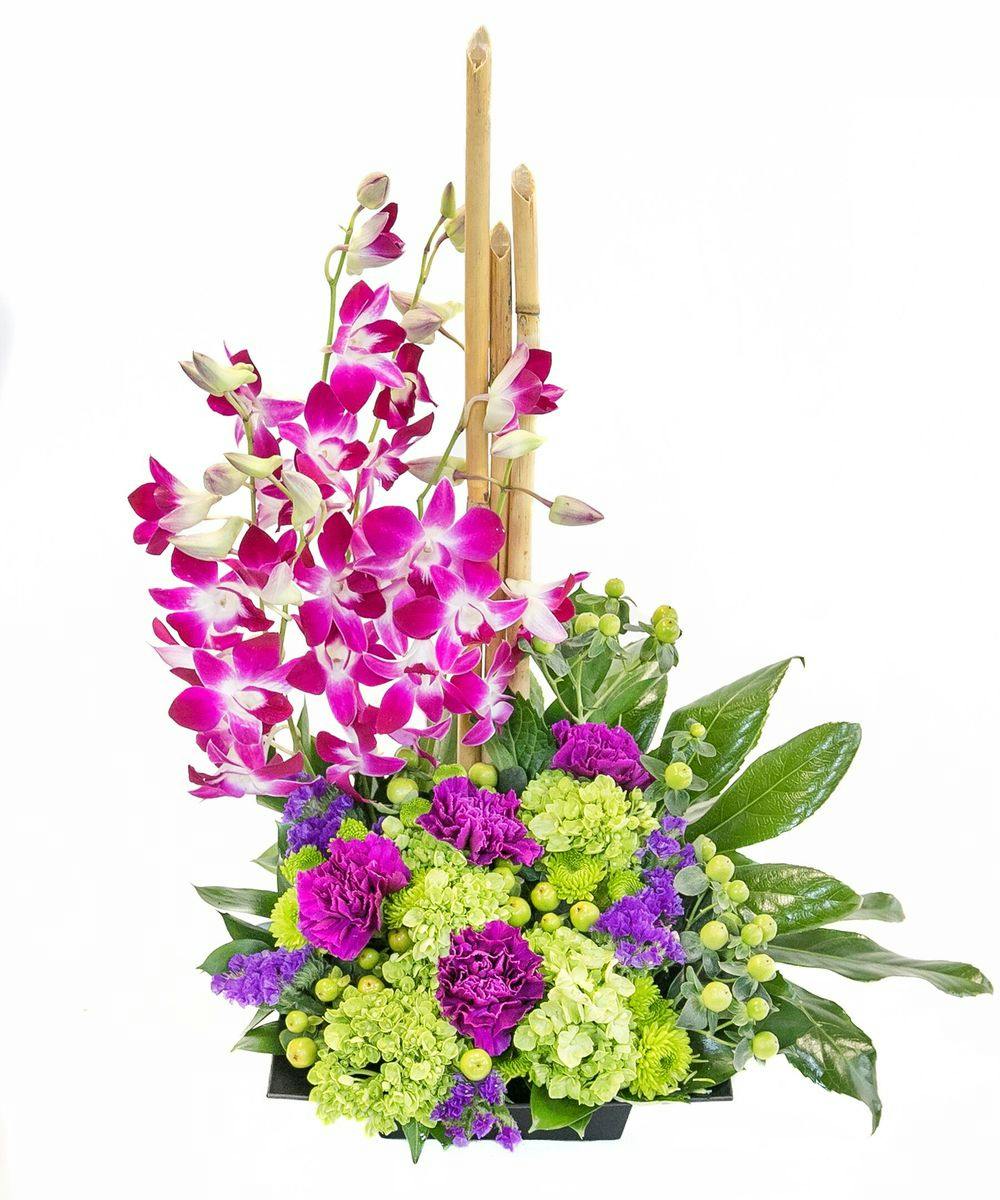 Zen Artistry Orchid Arrangement in Boston, MA Central Square Florist