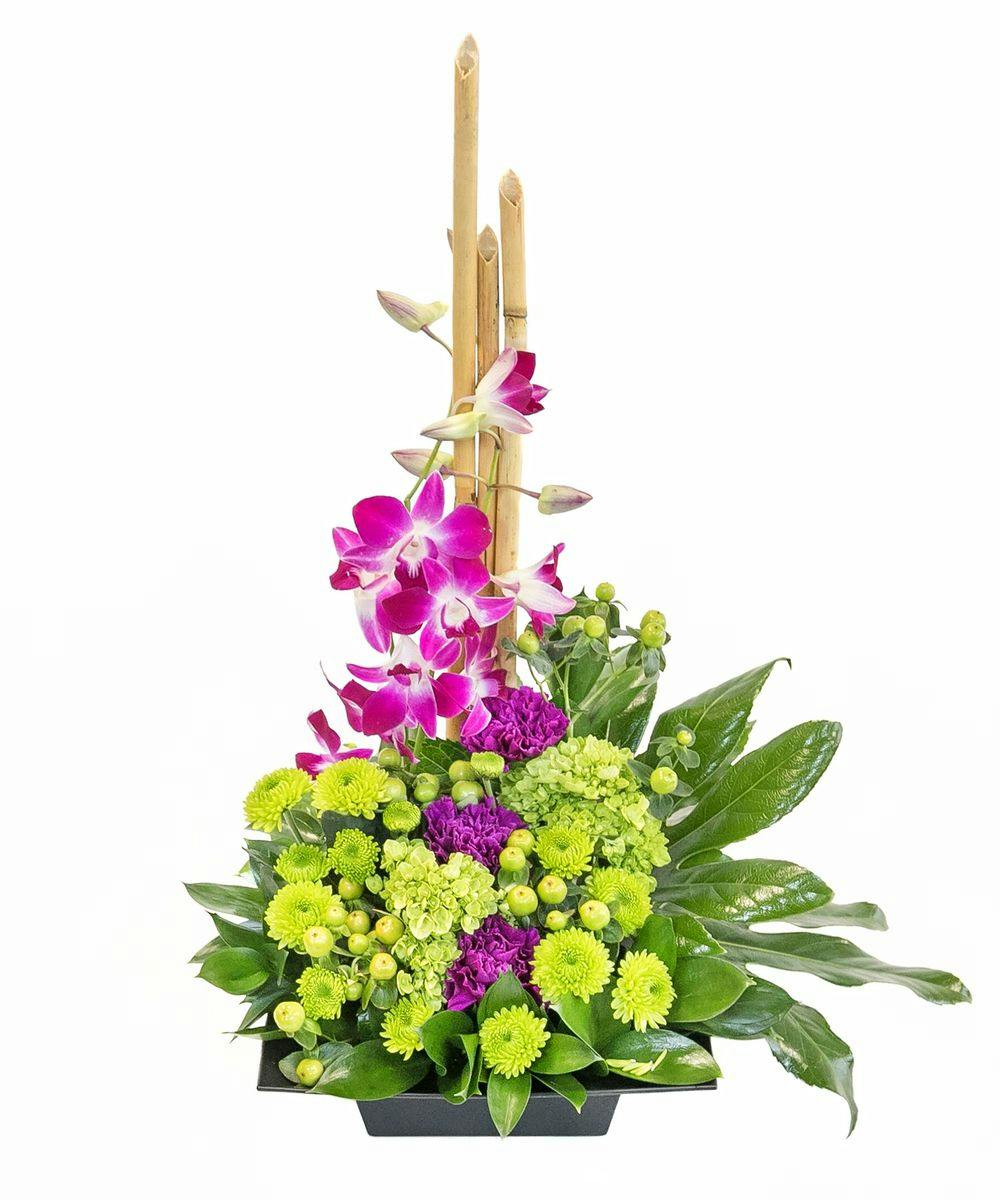 Zen Artistry Orchid Arrangement in Boston, MA Central Square Florist