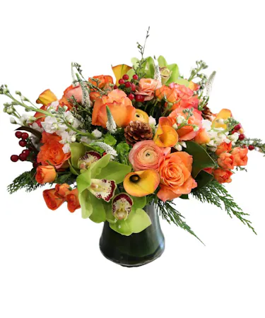 Winter Tangerine Floral Arrangement in Boston, MA