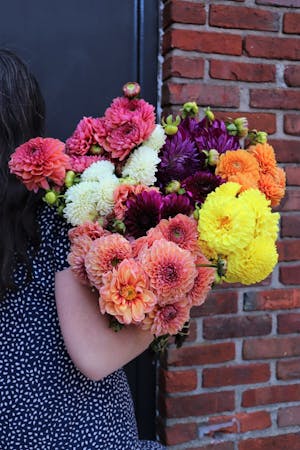 Flowers Curbside Pick Up In Boston Ma Central Square Florist