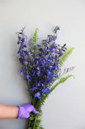 Delphinium Bunch