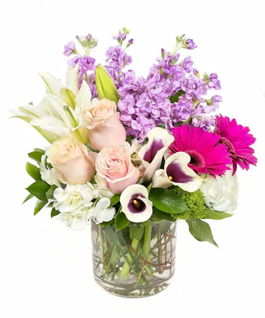 Lovely Lady in Boston, MA