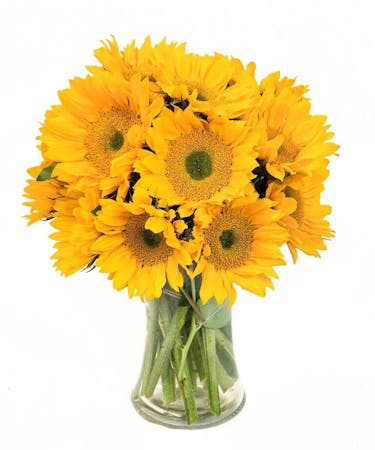 The Endless Summer Sunflower Bouquet In Boston Ma Central Square Florist