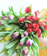 Novelty Tulip Bunch