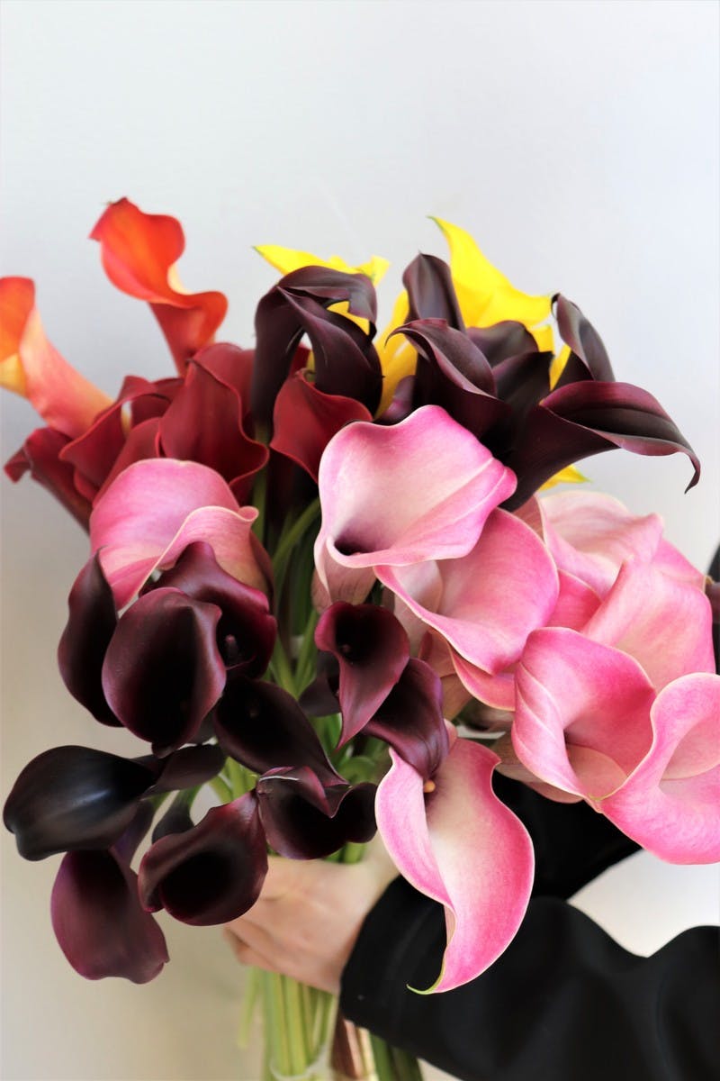 Long Stem Calla Lily Bunch Curbside Pick Up Central Square Florist