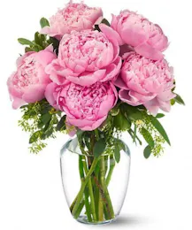 Peonies in Pink