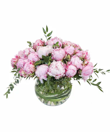 Peonies in Pink in Boston (MA)