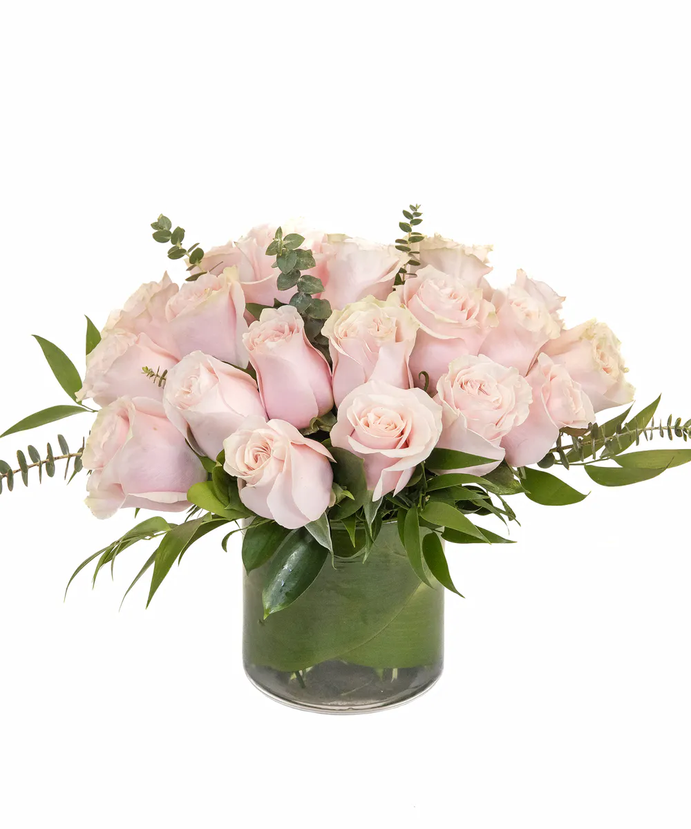 Pink Essential Roses Pink Roses in Boston, MA | Central Square Florist