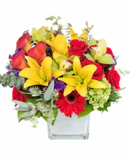 Brightly Blooming