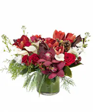 Home for the Holidays