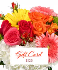 $125 E-Gift Card