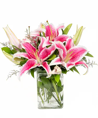 Pink Lily Floral Arrangement -Same-day Delivery Boston, MA